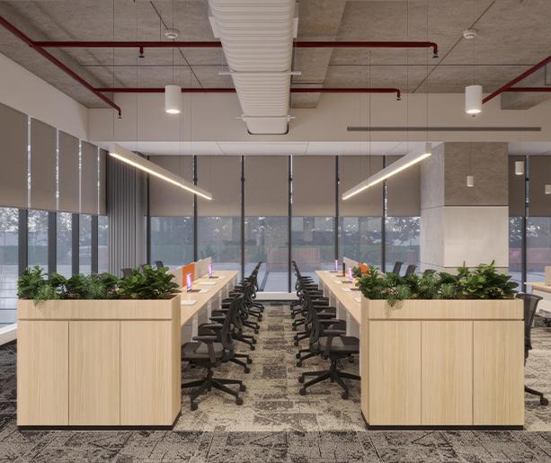 Flexible Work Area